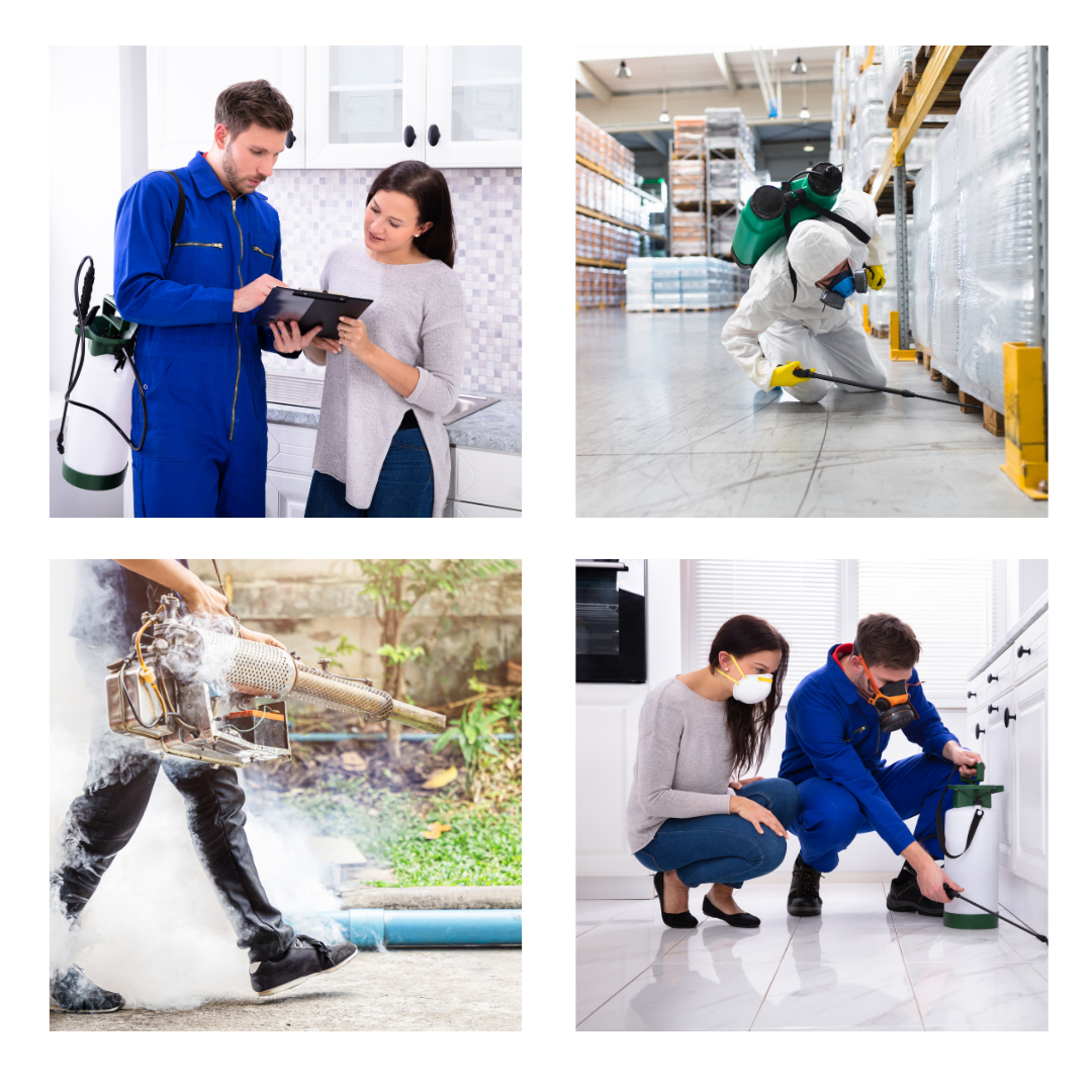 CPMA LP GRID IMG CPMA LP GRID IMG
