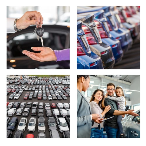 NIADA LP GRID IMG NIADA LP GRID IMG