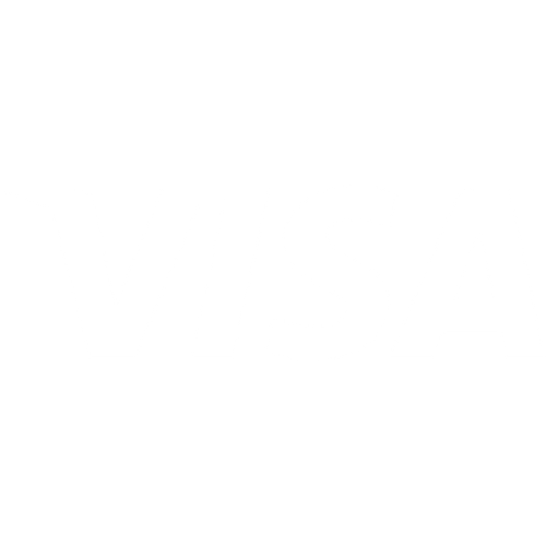 White Visa 500px500px